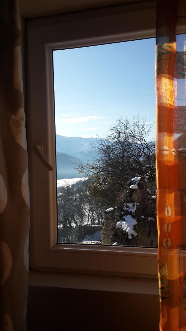 Hotel Irina Lextagi Mestia Zewnętrze zdjęcie